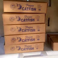 Frozen Catfish Box