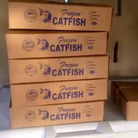 Frozen Catfish Box