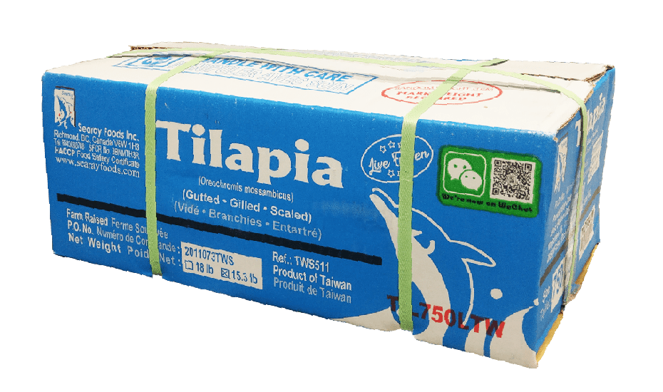 Tilapia Fish Box