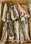 Hake Fish Box 10KG