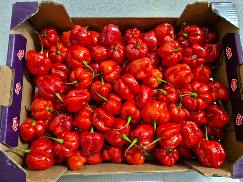 Box of Pepper 3KG (Scotch bonnet)