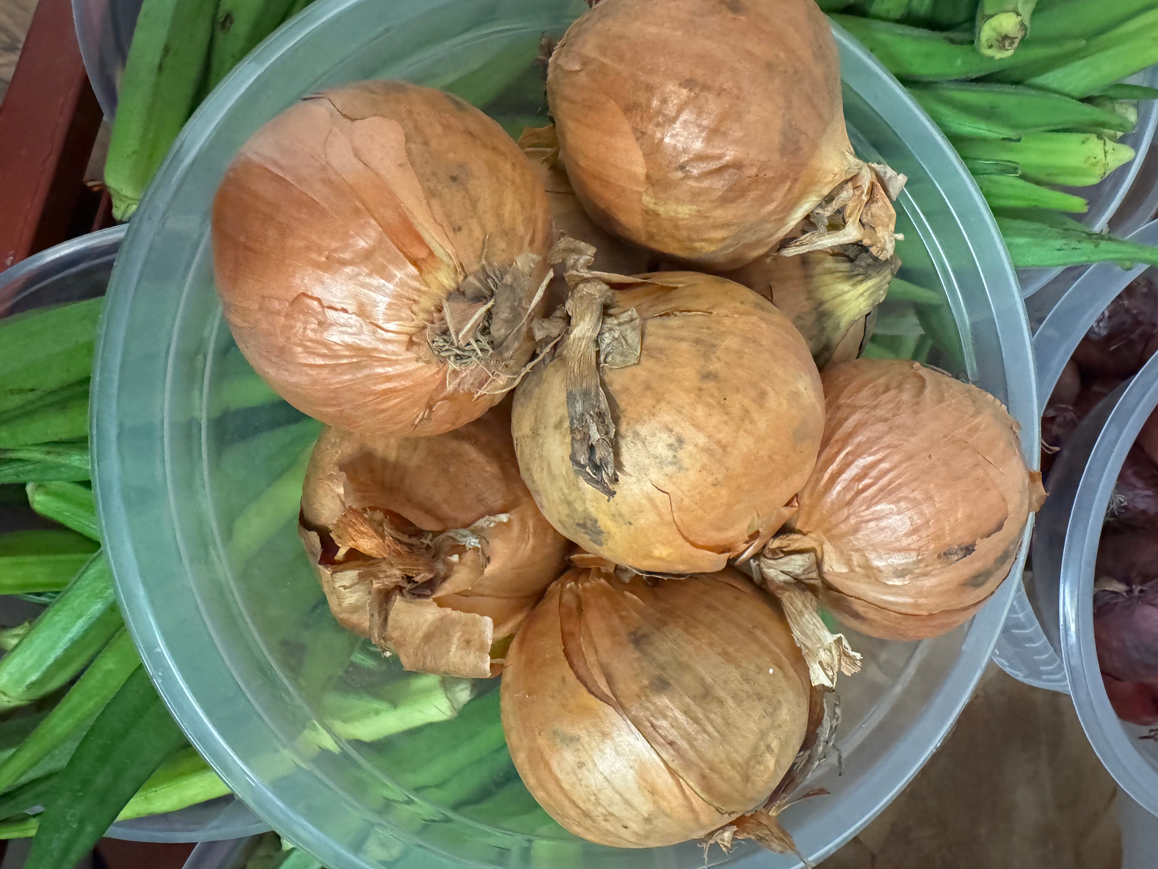 Bowl of Onions