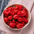 Bowl of pepper (scotch bonnet)