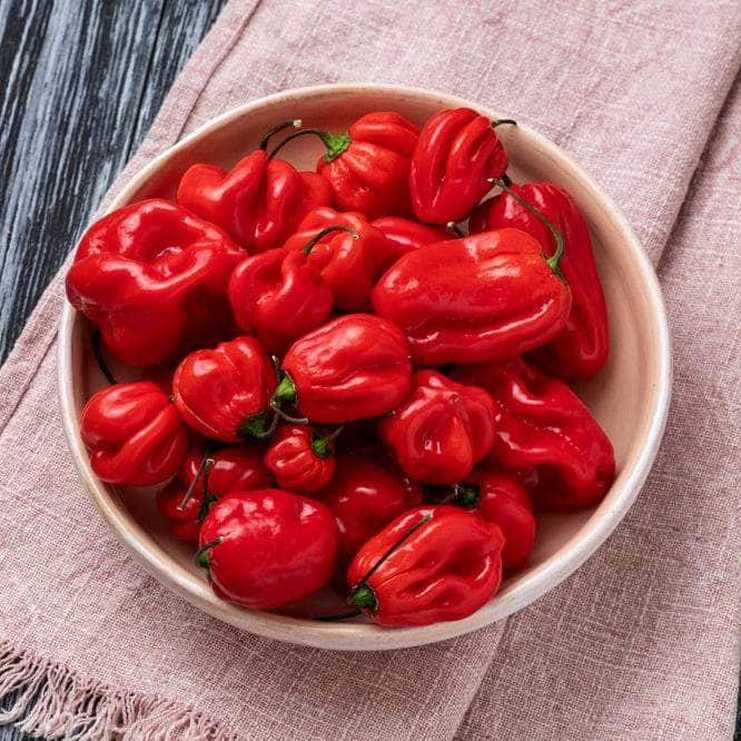 Bowl of pepper (scotch bonnet)