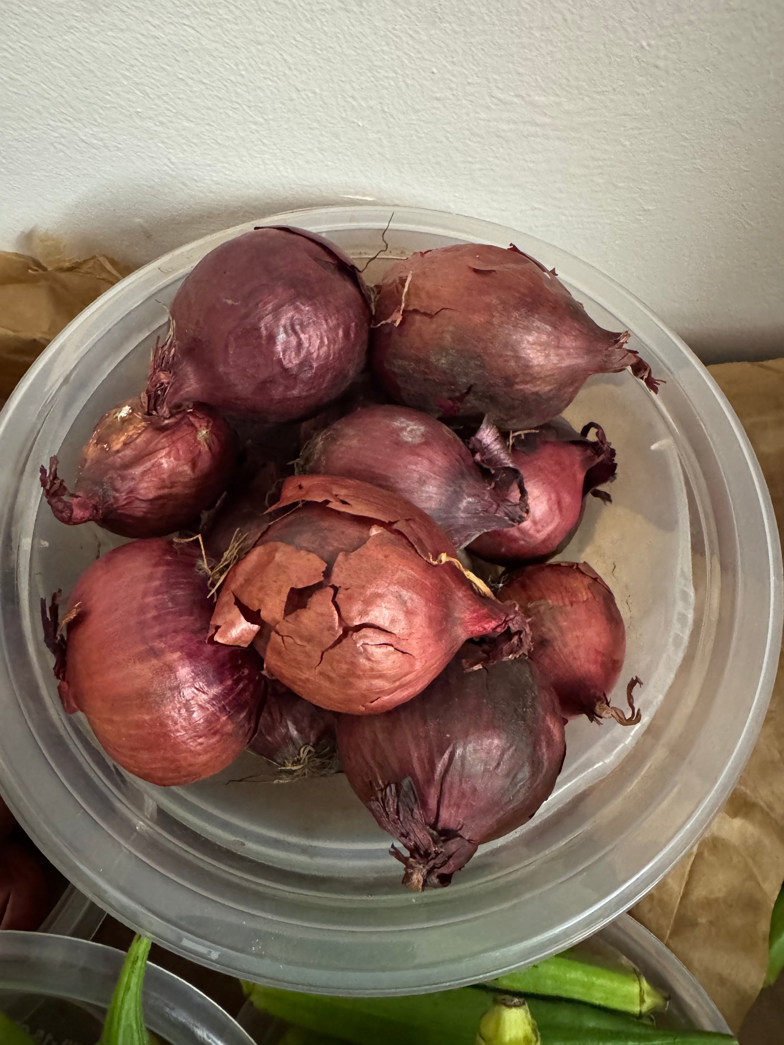 Bowl of Red Onions