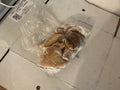 Nigeria Saki 1KG