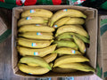 Plantain 1 Box (Ripped)