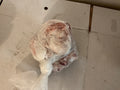 Turkey Gizzard 1KG